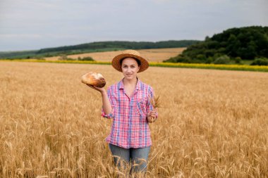 A farmer in a wheat field. Wheat harvest season in Ukraine. Golden ears of corn and a woman holding bread in her hands. Organic bread.