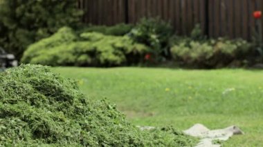 Evinin arka bahçesinde çim biçen bir adam. Çim biçme makinesi olan adam.