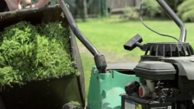 Çim biçme makinesi biçme makinesinden taze kesilmiş çimenleri döküyor..