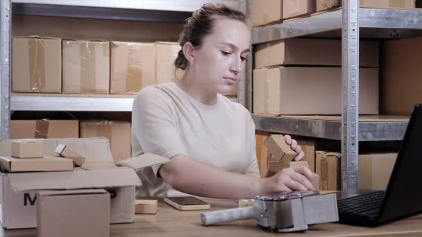 Feminino Armazém Trabalhador Loja Line Proprietário Usando Laptop Trabalho Preparando — Vídeo de Stock