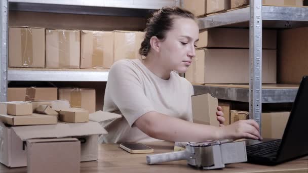 Nternetteki Kadın Depo Işçisi Dizüstü Bilgisayar Kullanıyor Paket Kutuları Hazırlıyor — Stok video