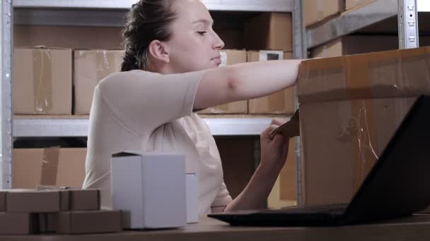 倉庫の女性が段ボール箱を開け 商品を見て在庫を作る マーチャンダイザーは ボックス内のアイテムを繰り返し コンピュータ上のメモを作ります — ストック動画