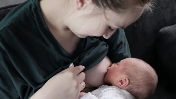 若い愛する母親はソファーに座り 乳児の新生児を養う — ストック動画