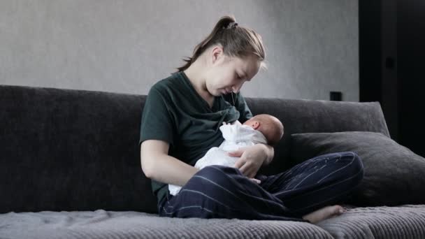 若い愛する母親はソファーに座り 乳児の新生児を養う — ストック動画