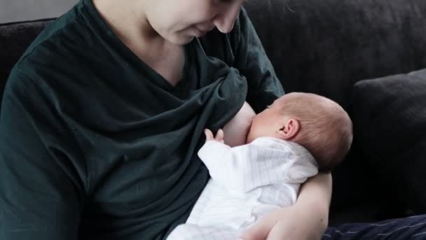 Young Loving Mother Sits Sofa Feeds Breast Milk Newborn Baby — Stock Video