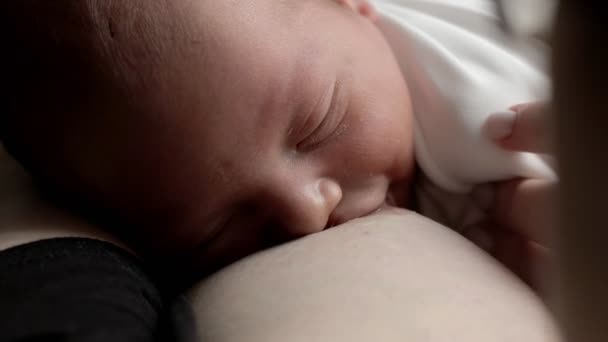 Primo Piano Del Neonato Succhia Latte Materno Bellissimo Bambino Tranquillo — Video Stock