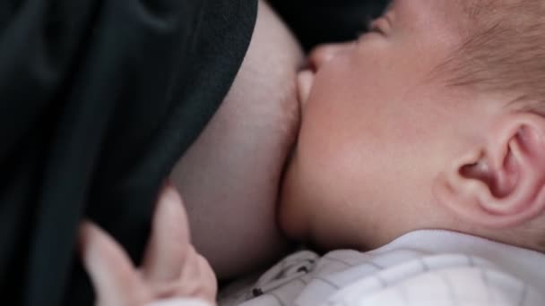Крупный План Новорожденного Ребенка Сосет Грудное Молоко Матери Прекрасный Спокойный — стоковое видео
