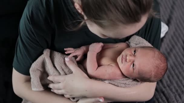 Madre Sosteniendo Bebé Recién Nacido Sus Brazos Joven Madre Mantiene — Vídeo de stock
