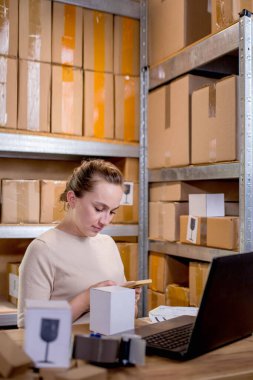 Genç girişimci küçük işletme akıllı telefondan internet siparişlerini kontrol ediyor ve müşterilere teslim edilecek kutulu eşyalar hazırlıyor.