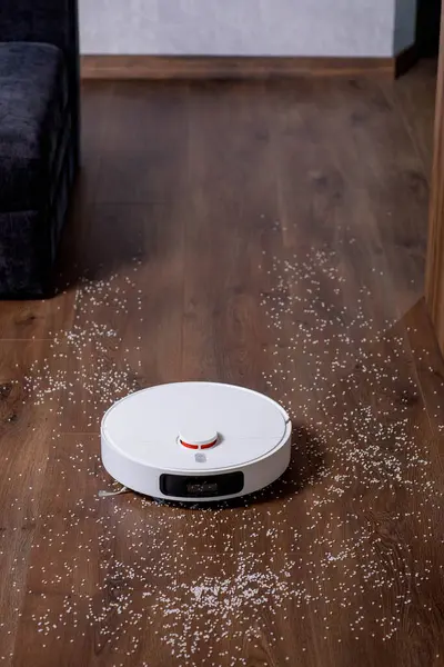 Robot Pembersih Vakum Vacuums Lantai Dekat Sofa Sebuah Rumah Cerdas Stok Lukisan  