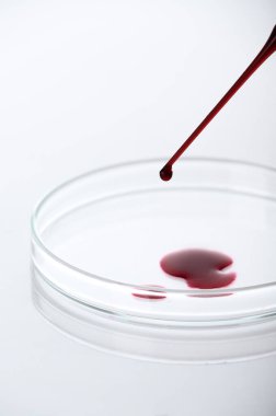 Tıbbi laboratuardaki petri kabına kan damlası ya da kırmızı sıvının yakın plan analizi ve tanı konsepti beyaz arka planda.