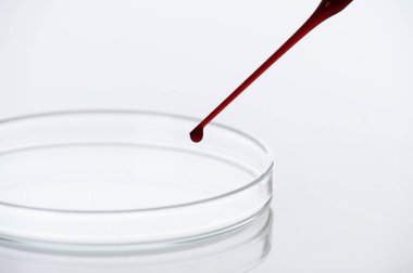 Tıbbi laboratuardaki petri kabına kan damlası ya da kırmızı sıvının yakın plan analizi ve tanı konsepti beyaz arka planda.