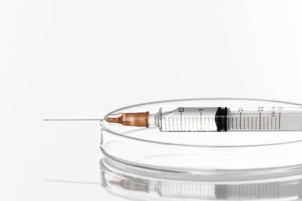 Seringa Agulha Com Vacina Líquida Transparente Para Injeção Placa Petri — Fotografia de Stock