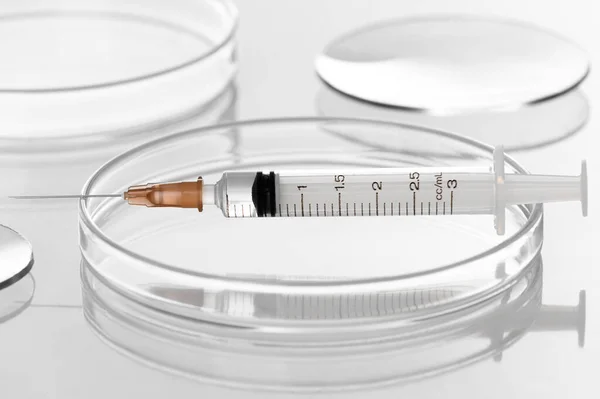 Jeringa Con Vacuna Líquida Transparente Para Inyección Placas Petri Laboratorio —  Fotos de Stock