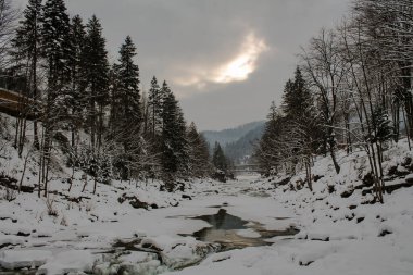 Kışın dağ nehri. Karpatlar 'da karla kaplı bir vadi. Taşların arasında akan bir derede donmuş su. Dağların ve ormanın arka planı. Noel ve Yeni Yıl Atmosferi