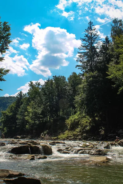 Mountain River 'lı Çam Ormanı. Ferahlatıcı nehir suları Manzaralı Dağ manzarasında akıyor. Doğanın Yürüyüş Pit Stop 'u. Karpatların Dokunulmamış Doğası. Water Brook 'un mırıldanması