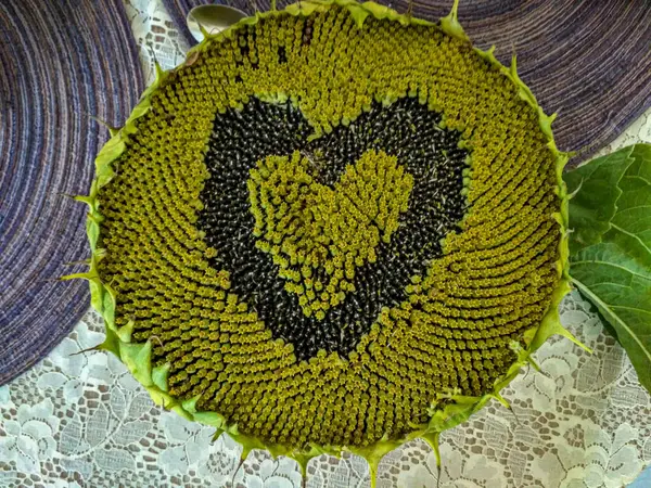 Olgunlaşmış Ayçiçeğinin Kalbi: Doğanın Sanatı