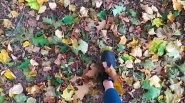 Altın Sonbahar Gezintisi: Siyah Spor Ayakkabılı Kadın ve Doğanın Güzel ve Renkli Yaprakları Ortasında Sıska Kot. Huzurlu Orman Yolları ve Sonbaharın Mevsimlik Cazibesi Yolculuğunun tadını çıkar