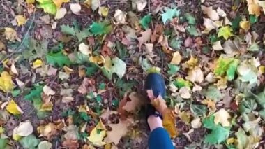 Altın Sonbahar Gezintisi: Siyah Spor Ayakkabılı Kadın ve Doğanın Güzel ve Renkli Yaprakları Ortasında Sıska Kot. Huzurlu Orman Yolları ve Sonbaharın Mevsimlik Cazibesi Yolculuğunun tadını çıkar
