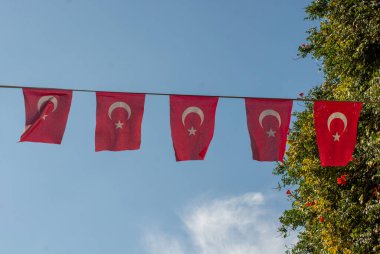 Gökyüzünde beyaz yıldız ve ay olan Türk ulusal bayrakları