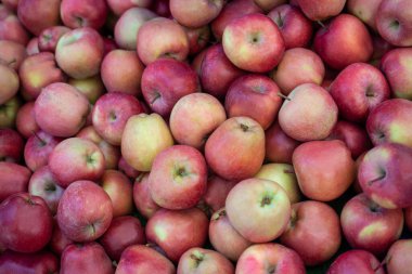 Pazar yerinde kırmızı elmalar sergileniyor