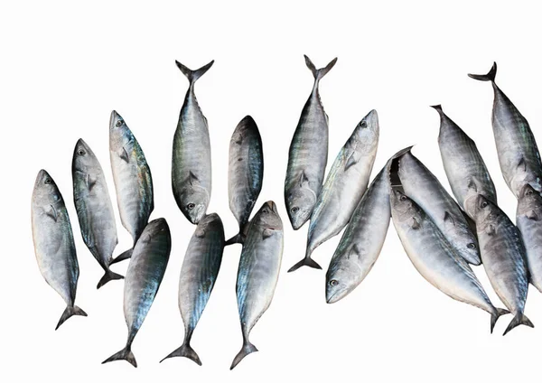 Свіжий Продаж Рибному Ринку — стокове фото