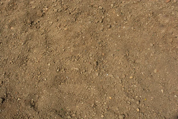 Dry earth texture. Pattern of sunny dried earth soil. soil background.