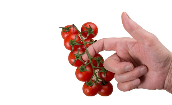 白い背景に新鮮な有機トマト 赤いトマトを熟す — ストック写真