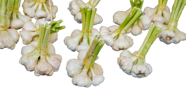 Fresh Garlic Market Harvest Garlic Antiviral Medicinal Garlic Helps Colds — Stock Photo, Image