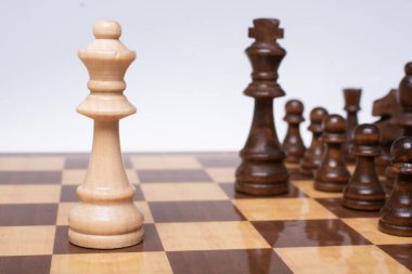 Entelektüel oyun - Satranç. Satranç tahtasındaki tahta satranç taşları