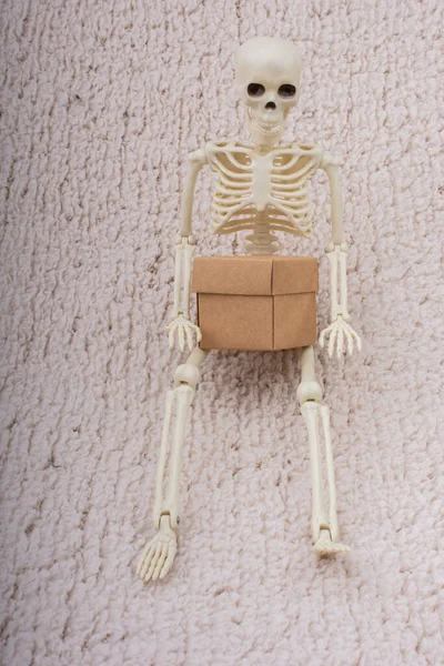 Modelo Esqueleto Humano Para Ciencia Anatomía Médica Con Caja Cartón —  Fotos de Stock
