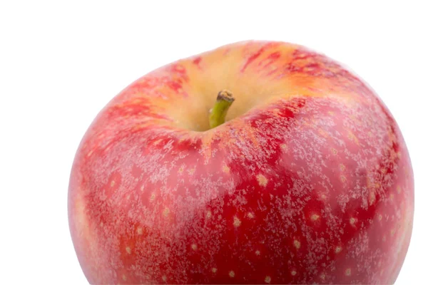 Zbiory Jabłek Jesienna Koncepcja Świeże Jabłko — Zdjęcie stockowe