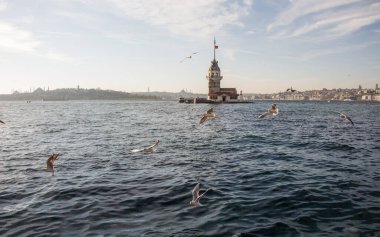 İstanbul, Türkiye 'de Bakire Kulesi yakınlarında uçan martılar