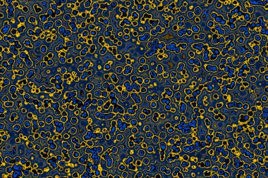 Bakteri hücresinin şekli: cocci, bacilli, spirilla bakteri arka planı