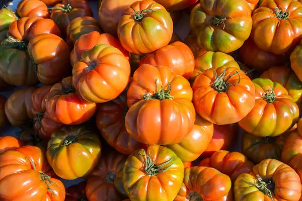 Leckere Frische Tomaten Auf Dem Markt Blick — Stockfoto