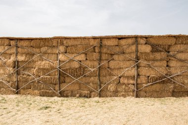 Saman balyaları dışarı yığılır.