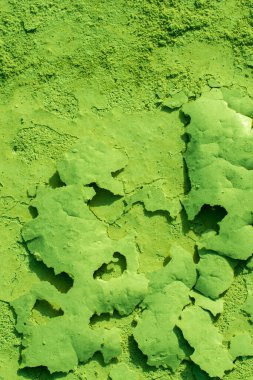 Yeni dökülmüş beton yüzeydeki desenler