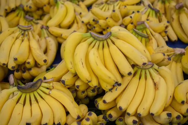 Ramo Plátanos Amarillos Fruta Mercado — Foto de Stock