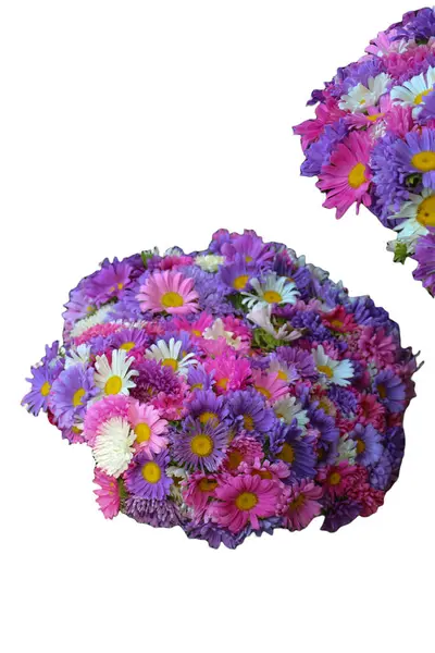 Kvetoucí Jarní Květiny Pro Zahradničení Koncept — Stock fotografie