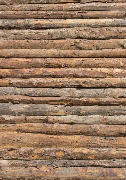 Доски Дерева Текстура Деревянного Фона — стоковое фото