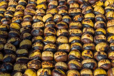 Çiğ tatlı kestane satılık.