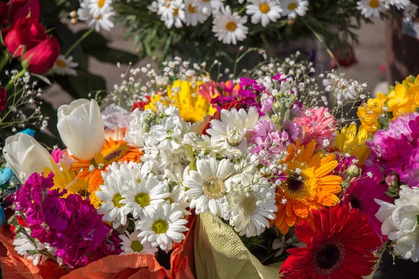 Πολύχρωμα Ανθισμένα Ανοιξιάτικα Λουλούδια Στο Βάζο — Φωτογραφία Αρχείου