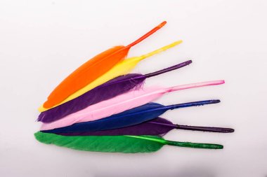 Renkli kuş tüylerinin doku arkaplanı olarak stüdyo fotoğrafı