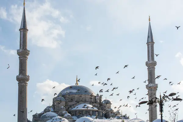 Голубь Летает Вокруг Мечети Минаретов — стоковое фото