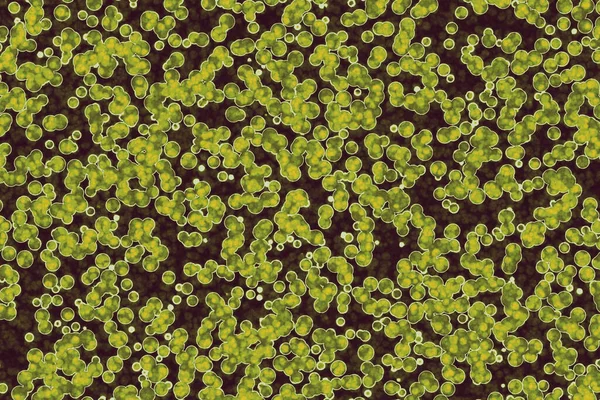 Bakteriális Sejt Alakja Kokcik Bacillusok Spirilla Baktériumok Háttere — Stock Fotó