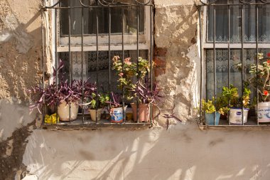Pencerelerin etrafında inanılmaz renkli çiçekler var..
