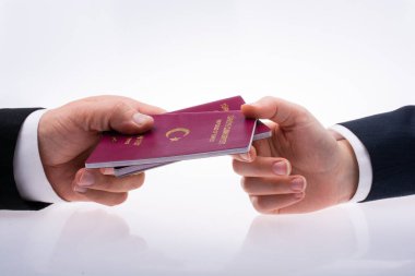 Yeni Türk pasaportu. Seyahat, turizm, göç ve pasaport denetimi