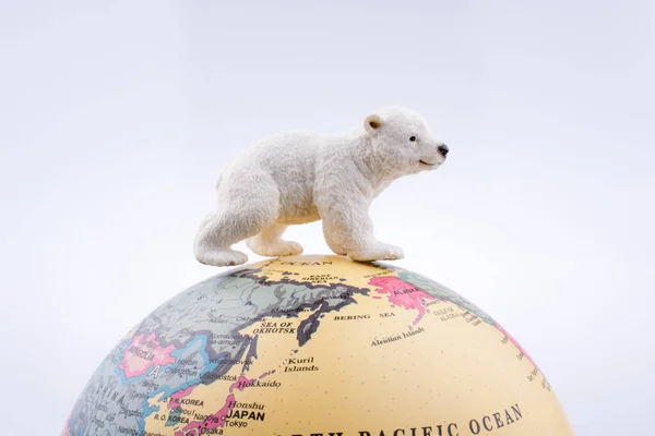 Isbjörn Toppen Världen Vit Bakgrund — Stockfoto