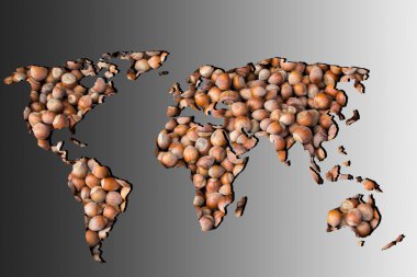 Gri arkaplan ile kabaca özetlenmiş dünya haritası