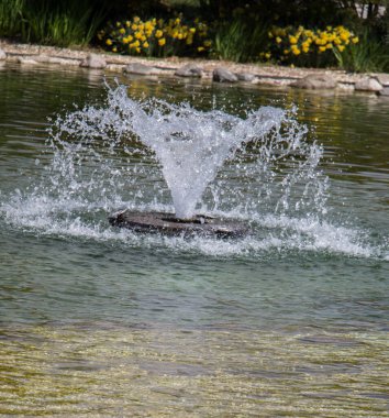 Çeşmeler parktaki bir havuzda köpüklü su fışkırtıyor.